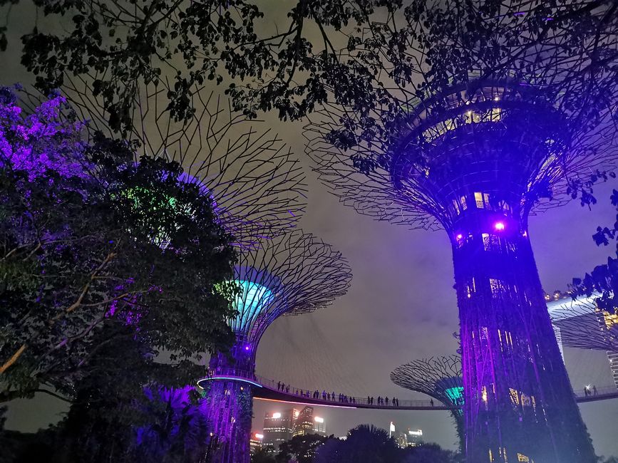 Abschiednehmen von Bali und Weiterreise sowie erster Tag in Singapur
