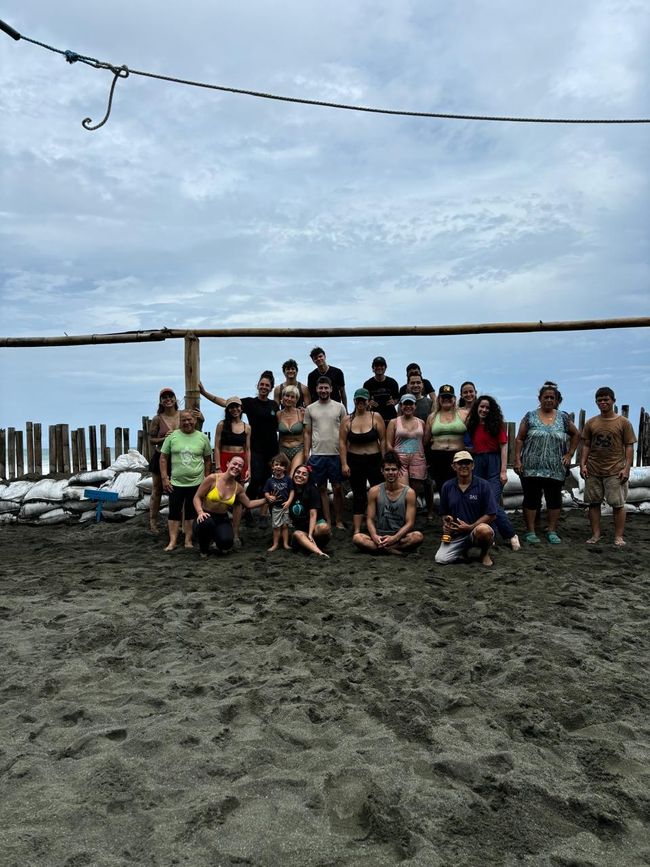 I volontari in spiaggia 