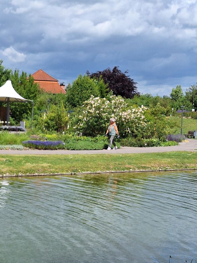 Radeln zum Rosengarten