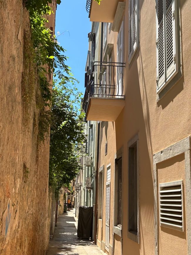 Impressions from the island of Lošinj