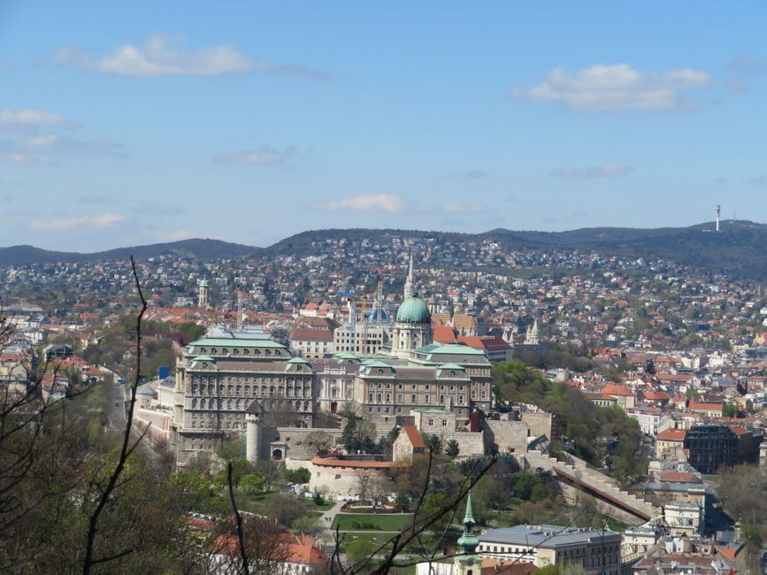 Buda