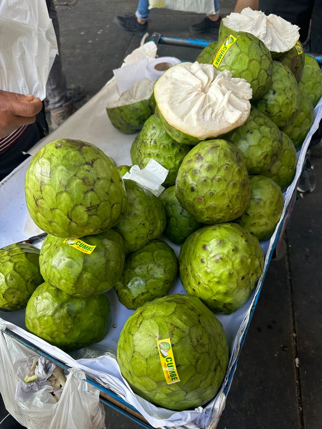 Cherimoya