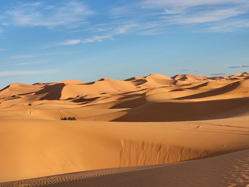 Sahara
