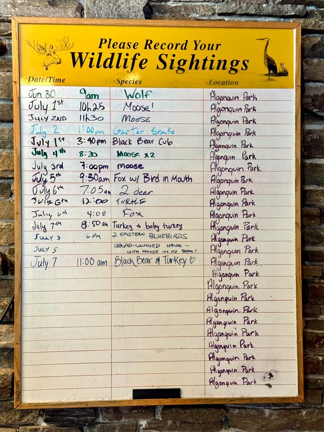 Huntsville - Mosquitoes - Miles and Misunderstandings