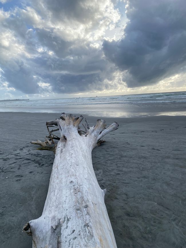 Da Hokitika a Carters Beach
