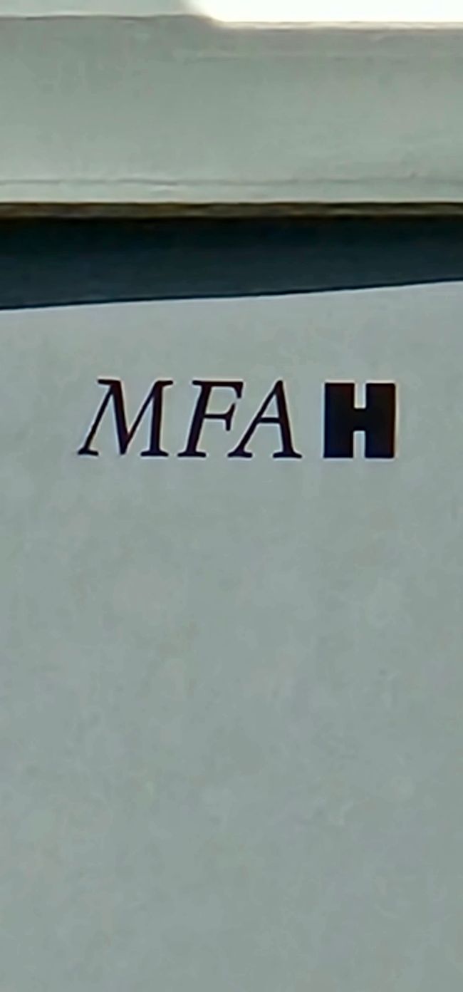 MFAH Photos de Hannes