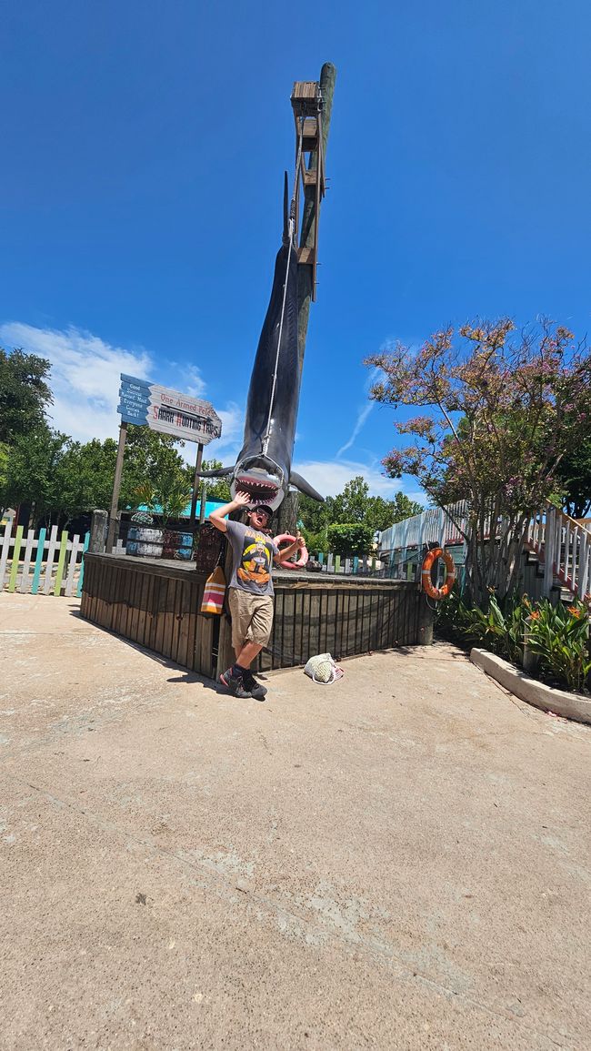 Six Flags Fiesta Texas e Wasserpark