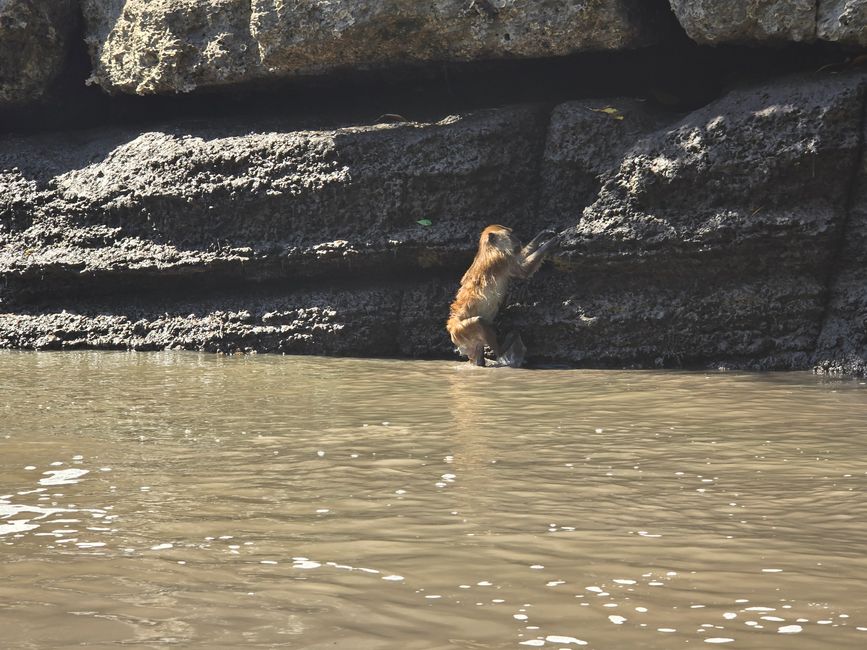Langkawi - Reif für die Insel!