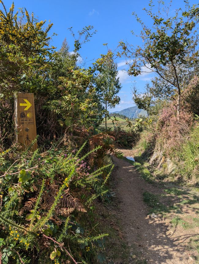 Dry stretch (Camino del Norte 4)