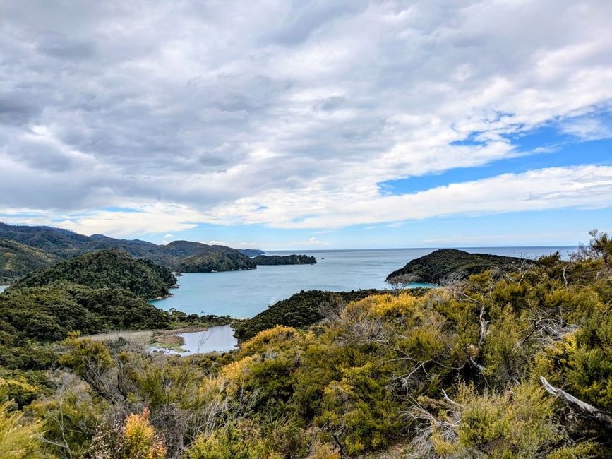 Mit dem Kajak raus auf die Sandy Bay im Abel Tasman-NP