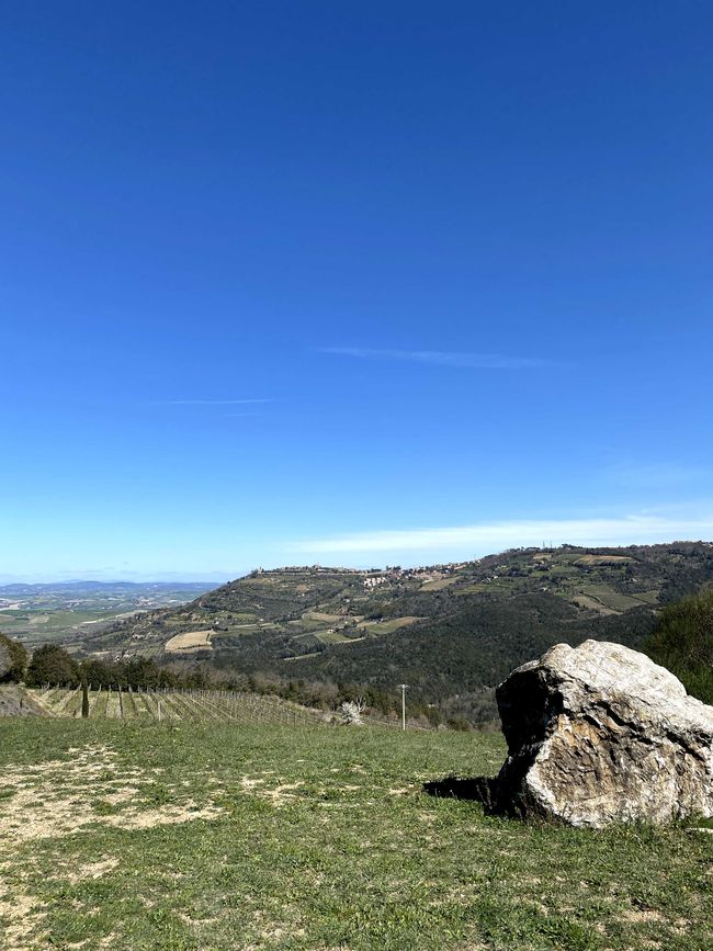 Tuscany Tour - Stop 3: Wine Tasting in Montalcino