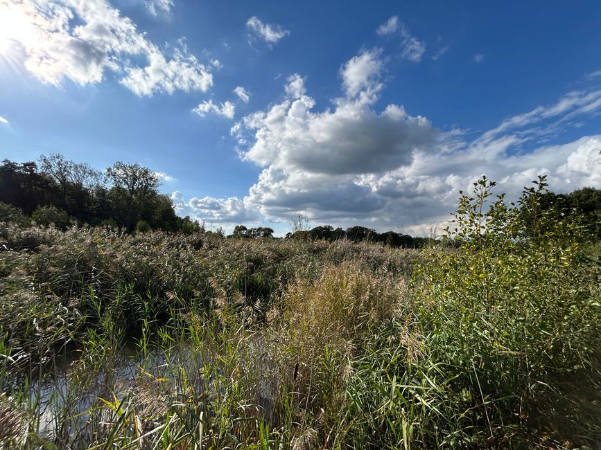 Tag 8: Schoten - Hunsel Teil 2