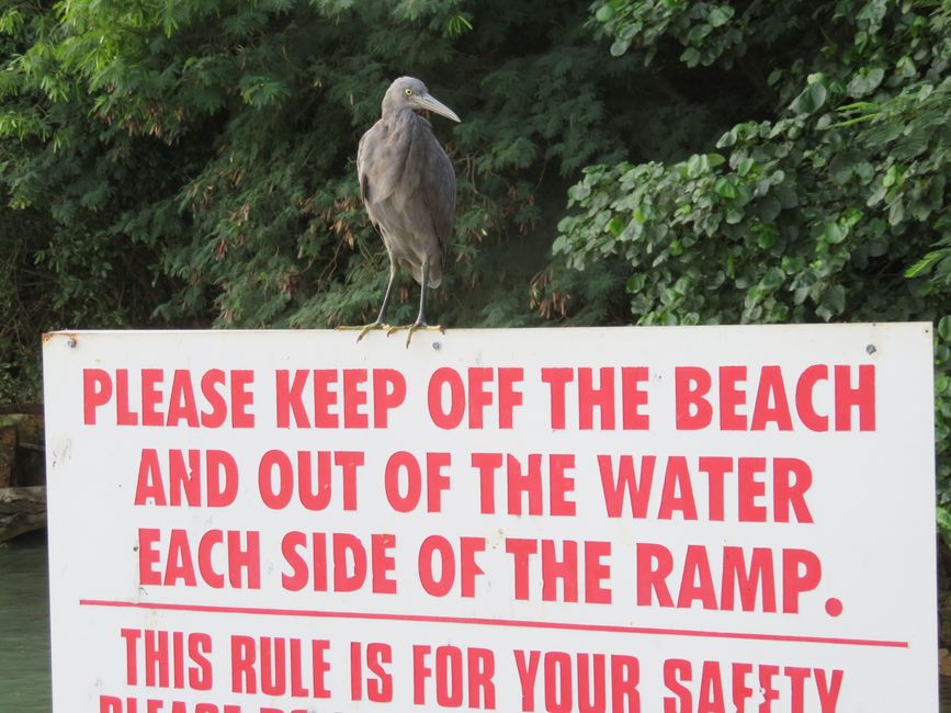 Someone has to enforce the rules