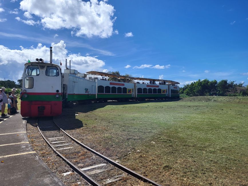 Scenic Railway