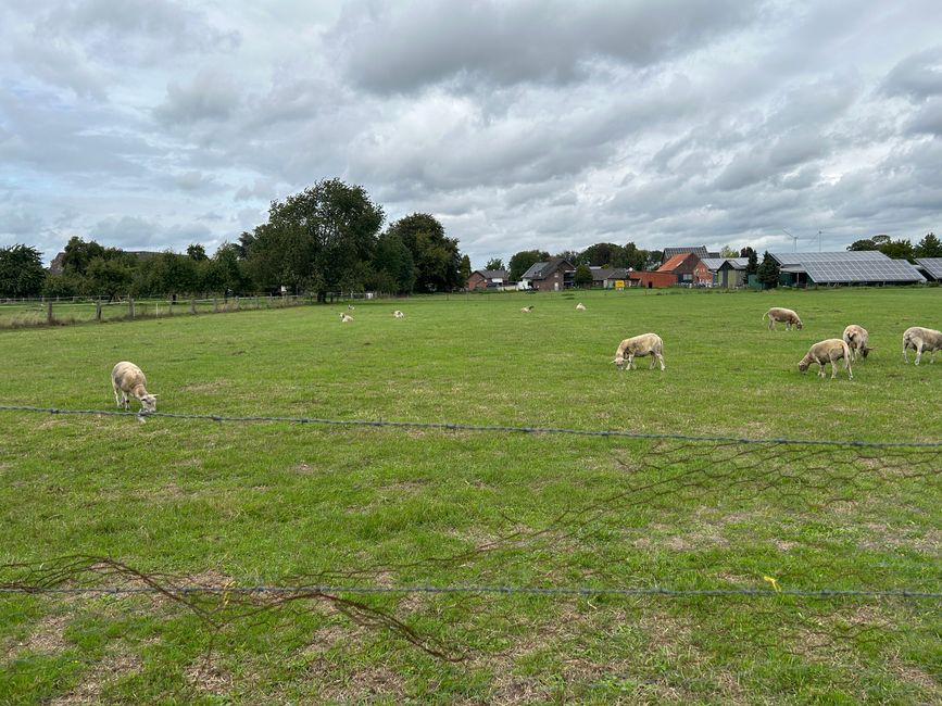 Tag 9: Hunsel - Home Teil 2