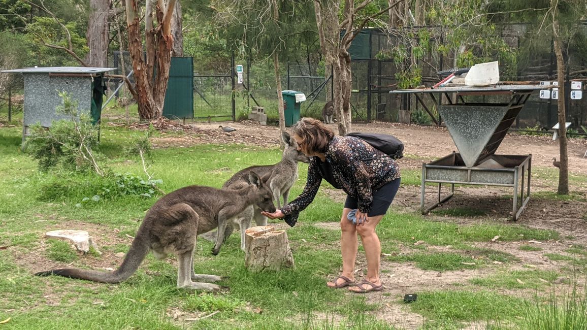 Sanctuaire d'animaux & Schiibefiir