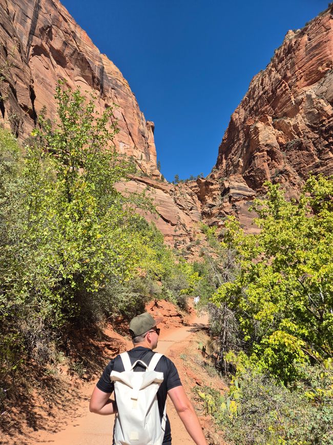 02.10. Parque Nacional Zion