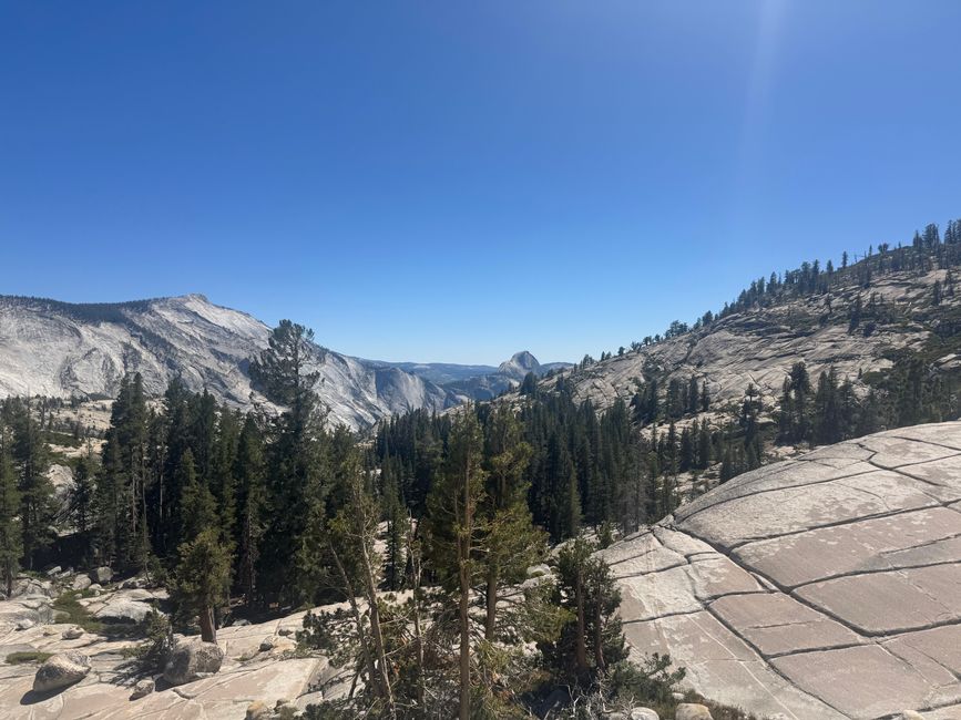 Yosemite National Park