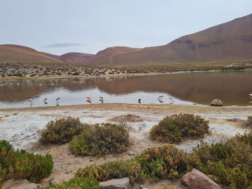 Tag 39 bis 41 San Pedro de Atacama und Flug nach Puerto Montt