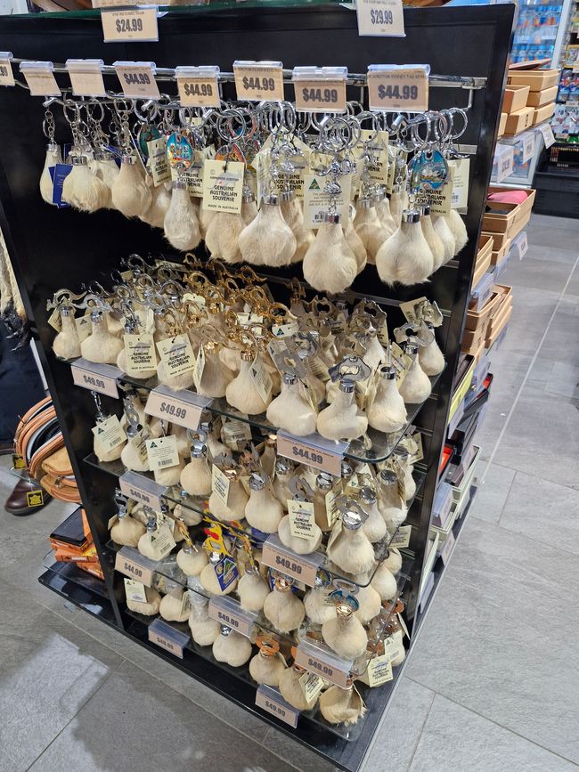 Jemand ein Souvenir?