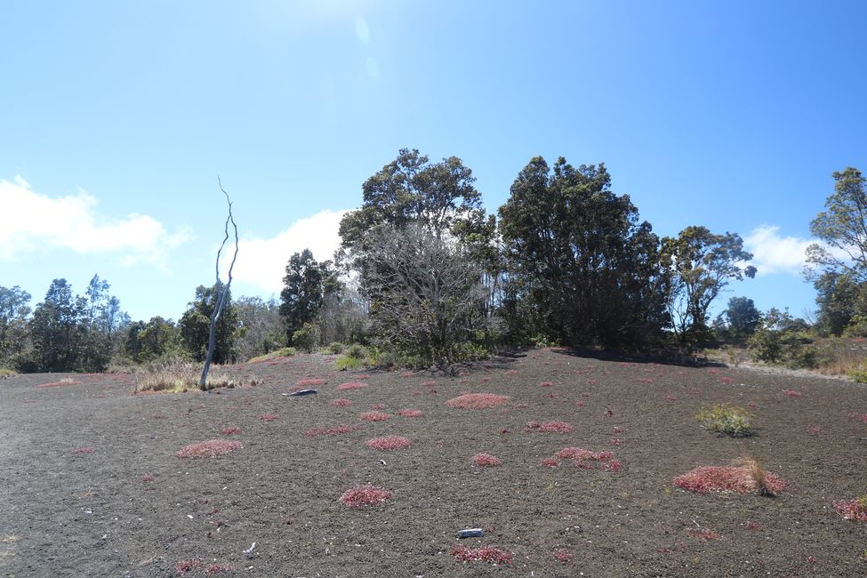 We are visiting the Kilauea Volcano