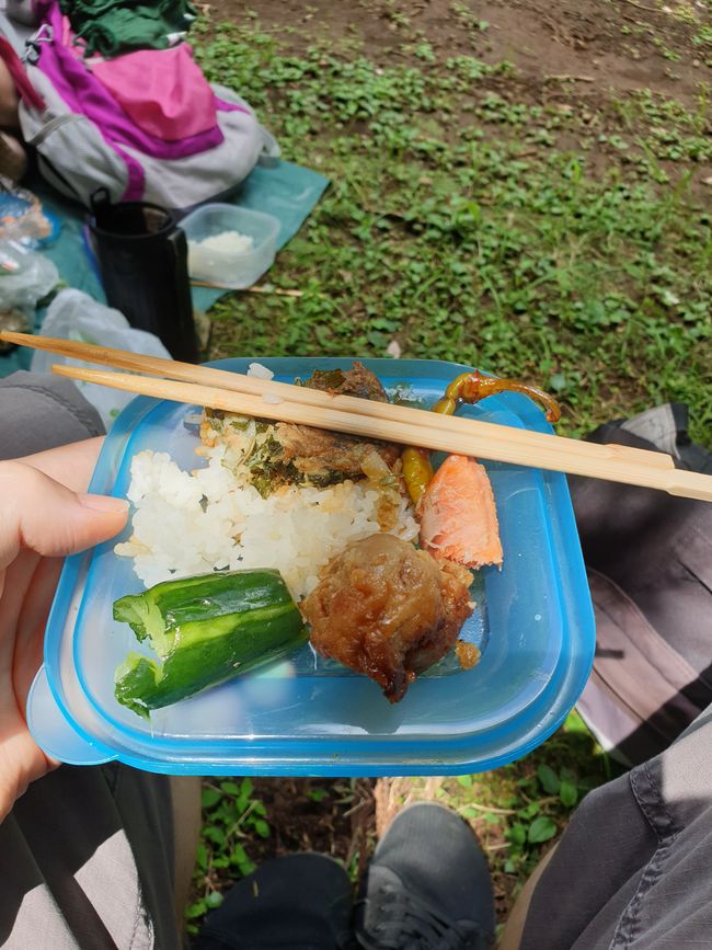 Ich durfte am Picknick teilhaben