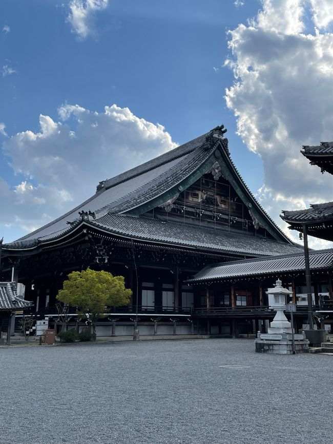 Kyoto-Domingo-06.04.25