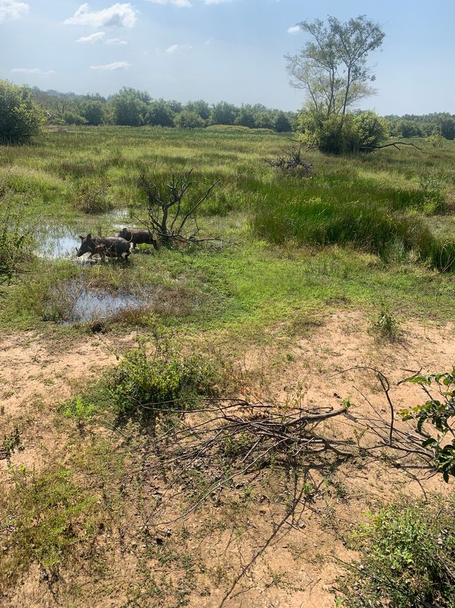 Parco Nazionale Mole