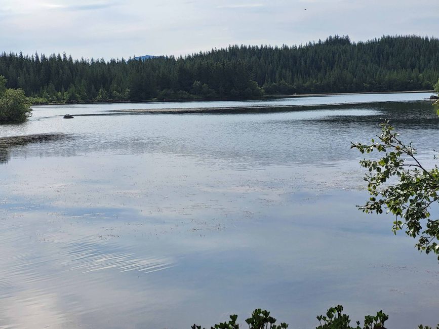 Brønnøysund, 14 de agosto de 2024