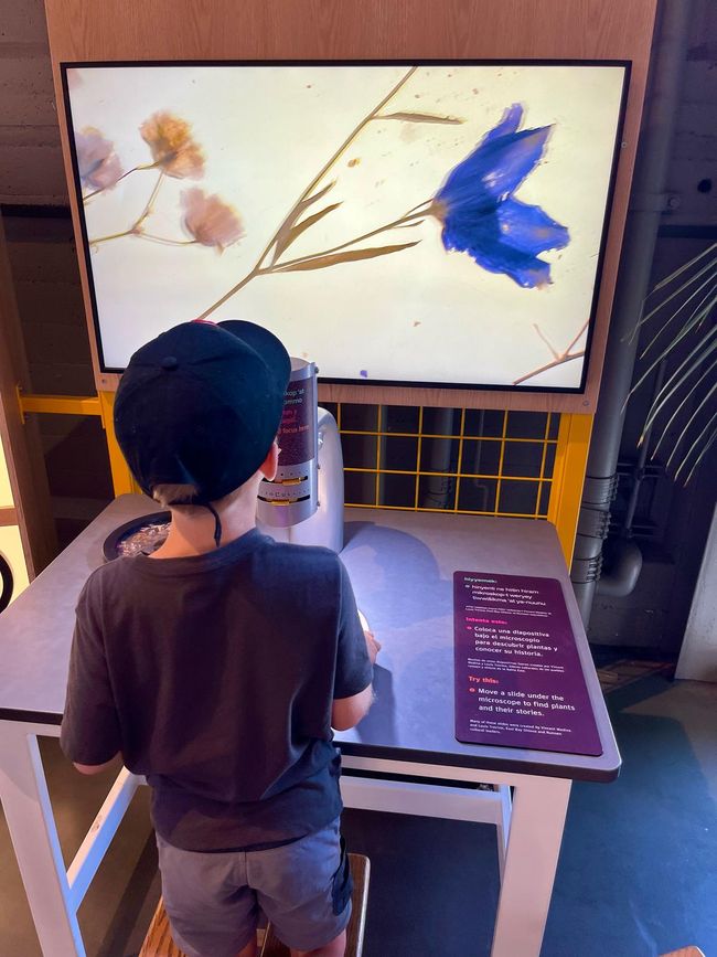 Exploratorium