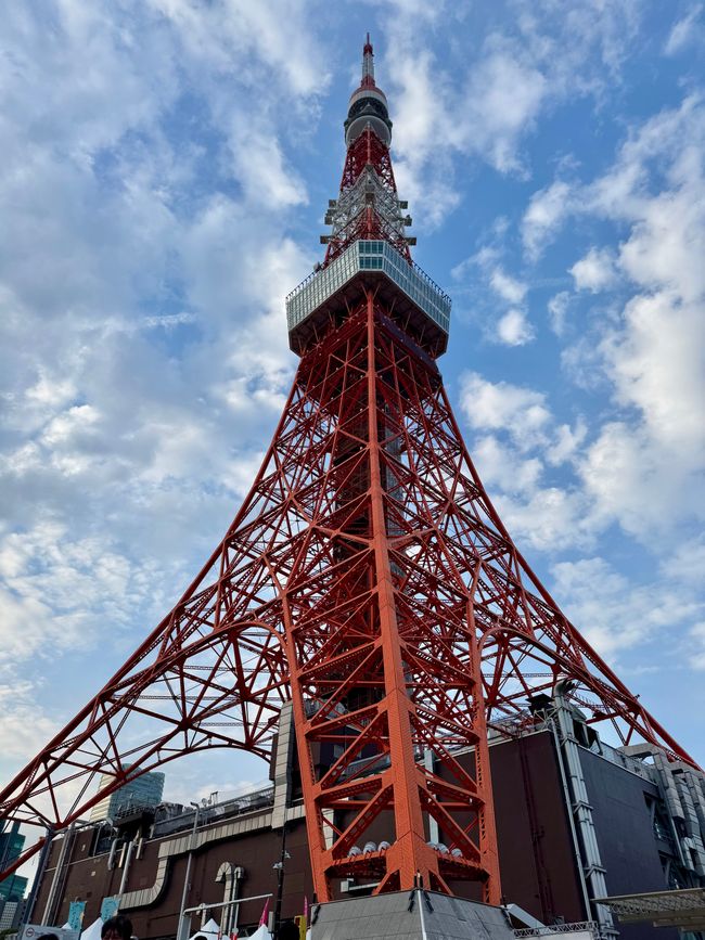 Parte 7
BENVENUTO IN GIAPPONE 🇯🇵
TOKYO