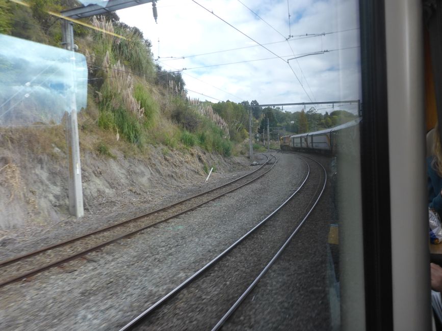 2025-03-25 NZ, l'Isola del Nord, Wellington