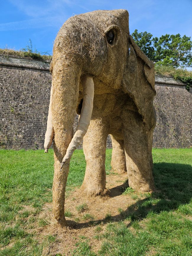 Neuf-Brisach: Straw animal art