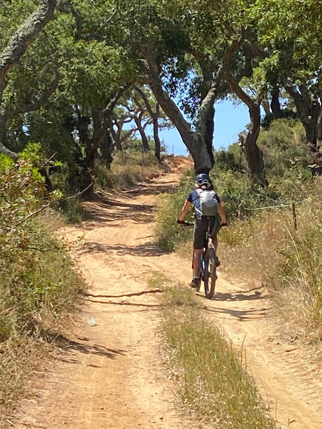 Porto Covo, bike and hike