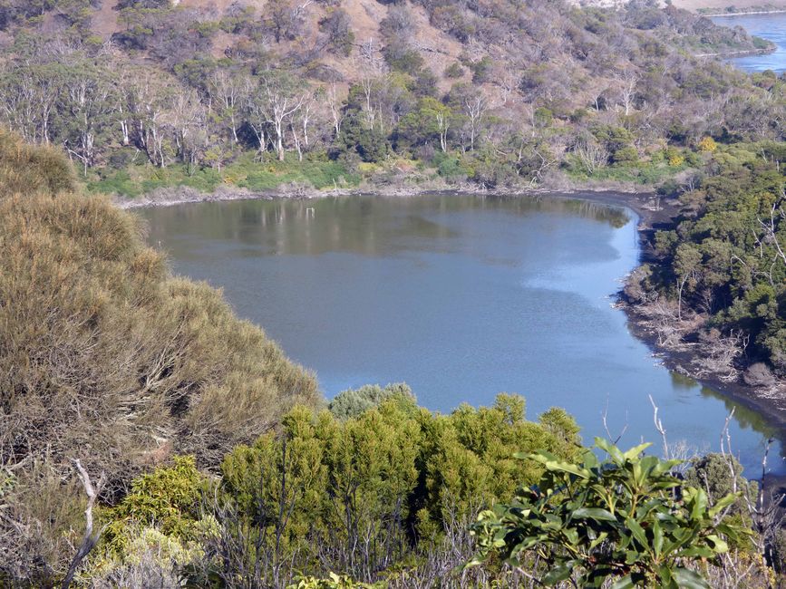 Tower Hill Wildlife Reserve