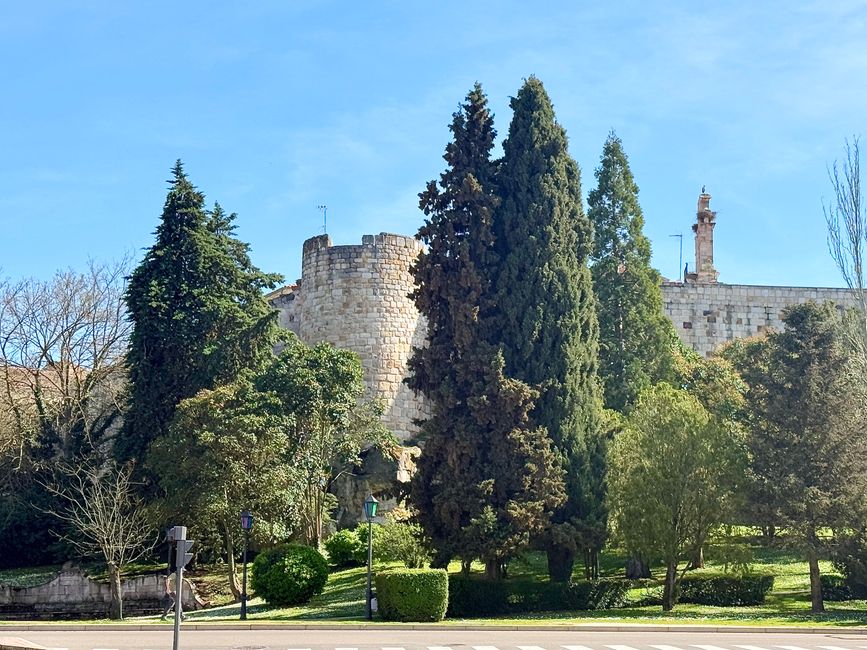 The city wall is lined with plenty of greenery.