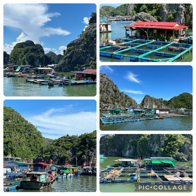 现在开始旅游了…