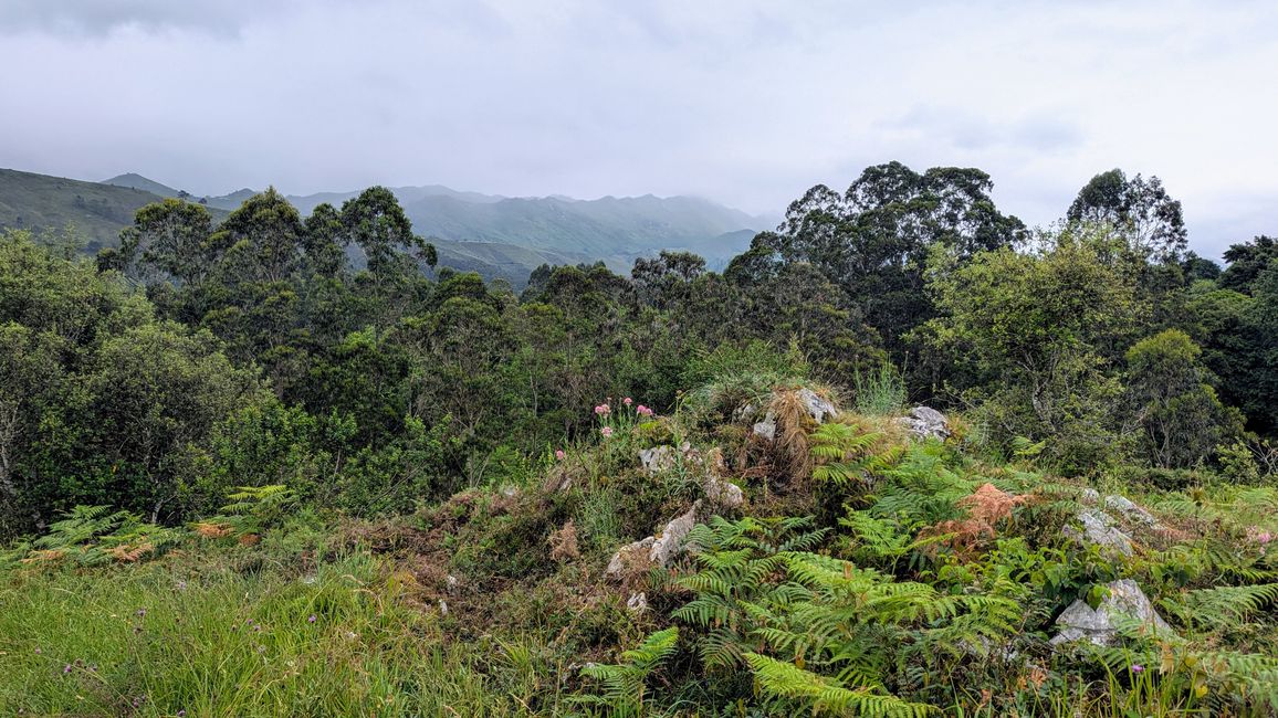 12. Etappe Camino del Norte von Pendueles nach Barro