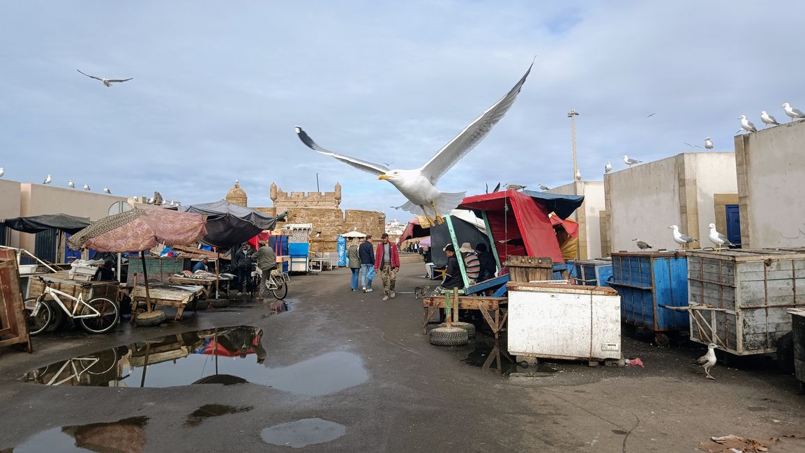 Essaouira