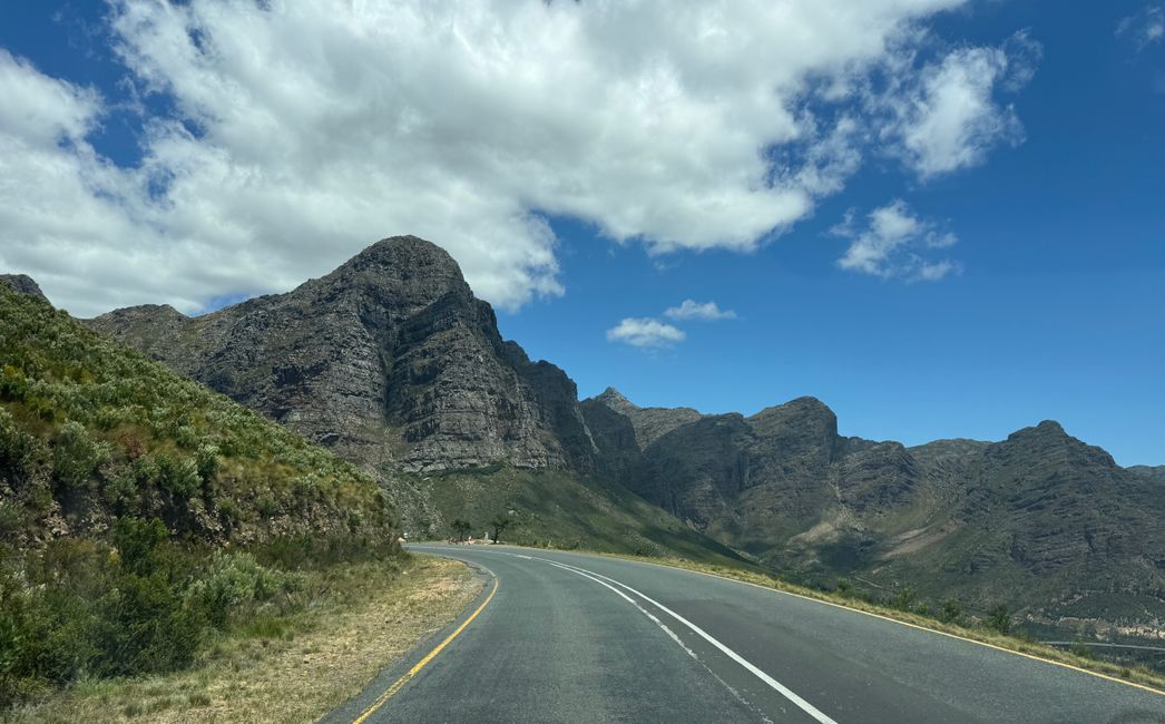 Weihnachtstage in Stellenbosch