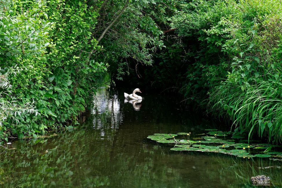 Amiens