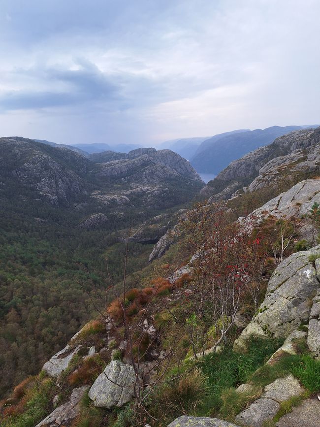 Tag 5 Preikestolen