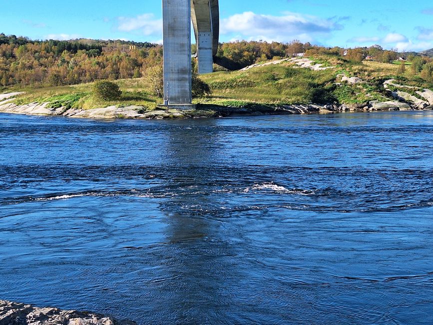 Etiqueta 10 Salstraumen - Bodø