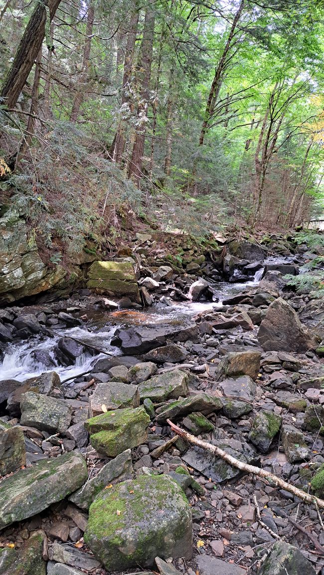 Parco Algonquin