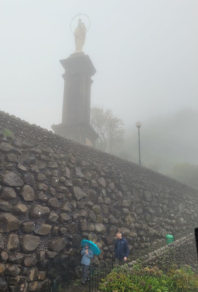 Panoramafahrt 