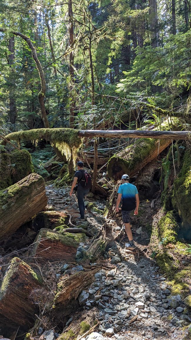 Upper Myra Falls Trail