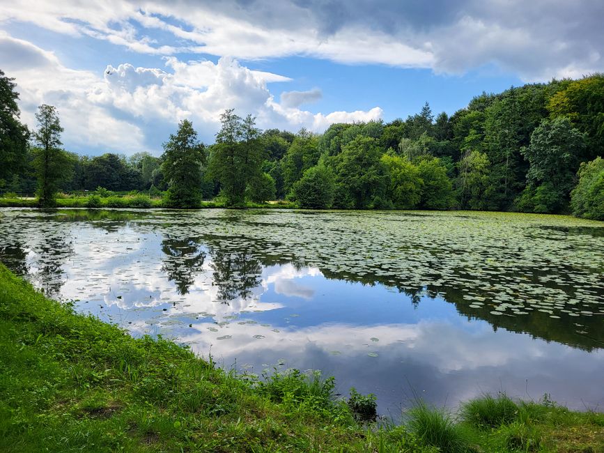 Fischteiche vom Haus Marck