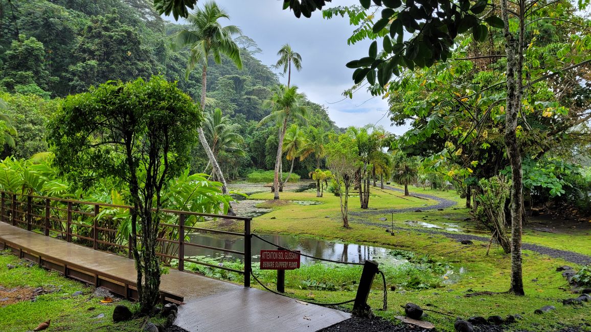 Tour around the edge of Tahiti-Nui