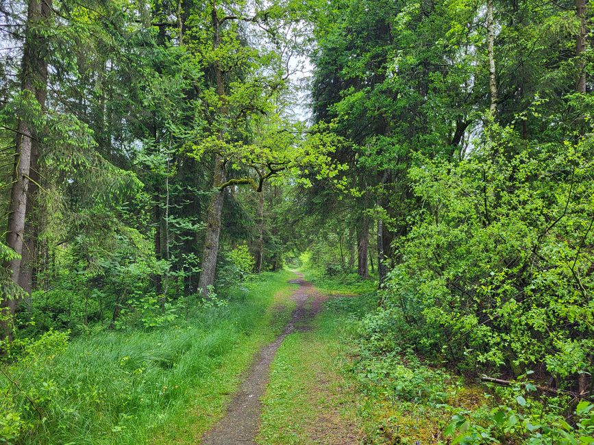 Wurzacher Ried