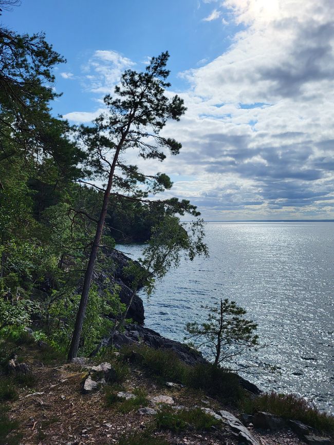 Bastoncini di zucchero, rovine di castelli e escursioni sul Lago Vätter - in viaggio nel sud della Svezia